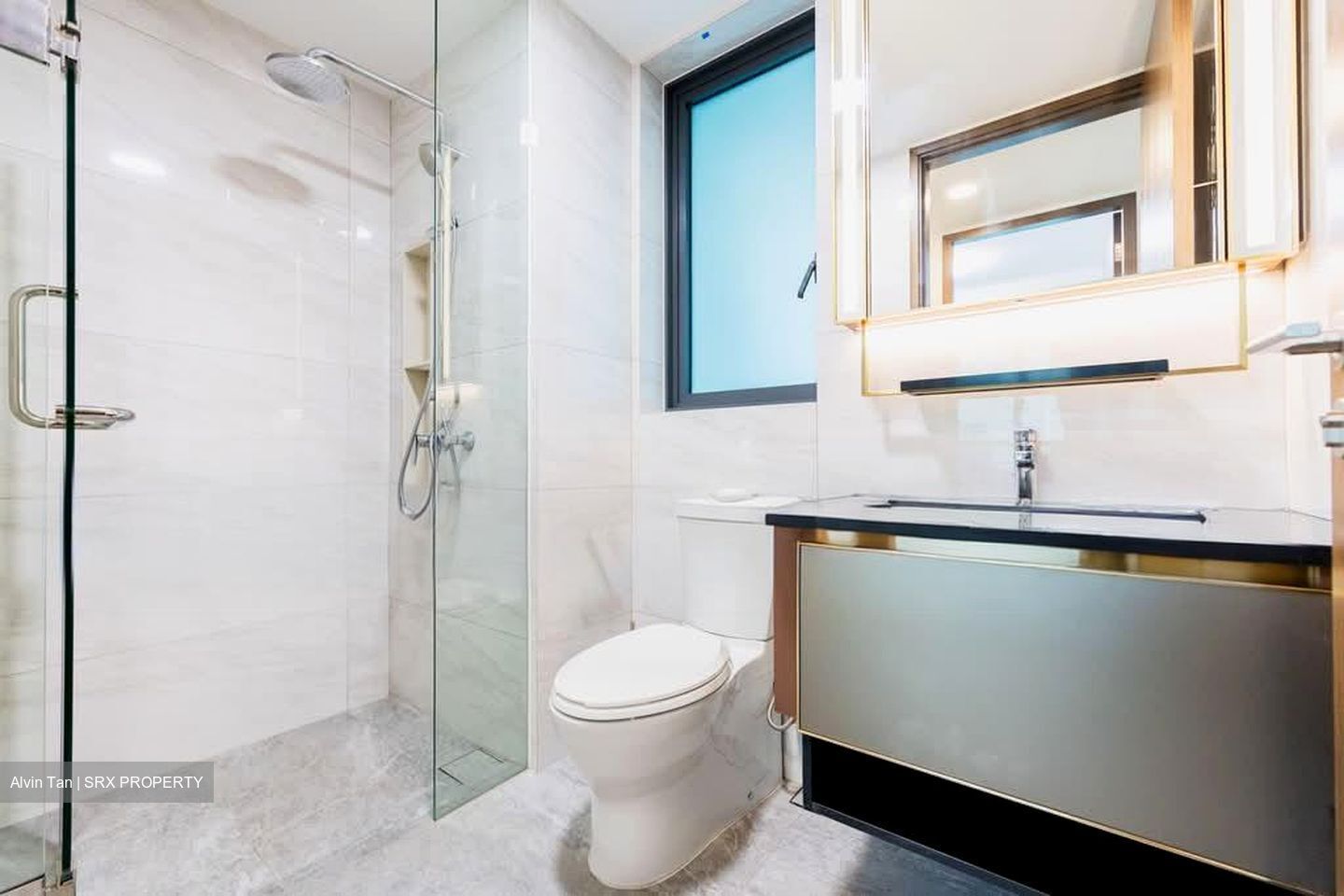 Normanton Park (D5), Apartment #604427661